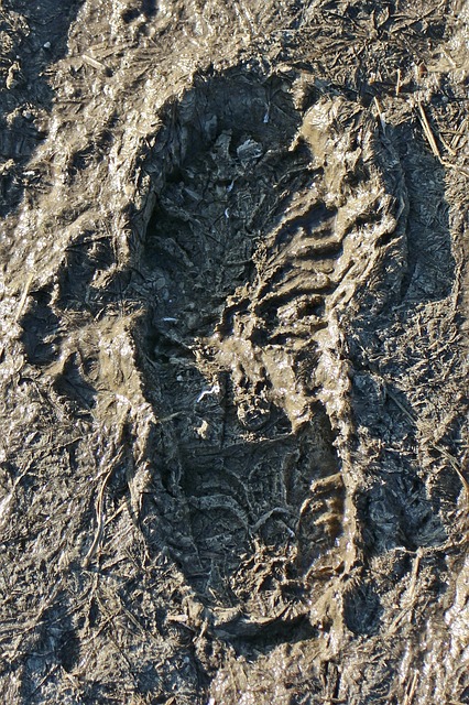 profiel schoen in zand