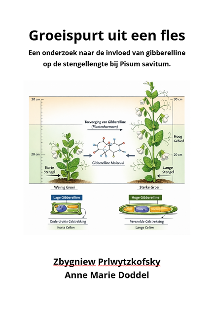 Voorbeeld voorkant onderzoeksverslag